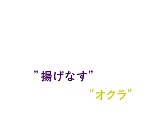 01.食べ応えのある角切り揚げなすと厚さ1cmカットのオクラをメインにしました。