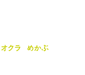 02.人気の揚げなすに、オクラとめかぶ2つのねばねば食材をプラス